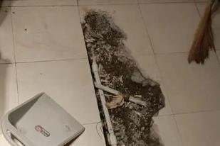 宝山卫生间漏水检测电话